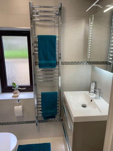 a bathroom with a sink and a toilet and a window at The Apartment in Nairn