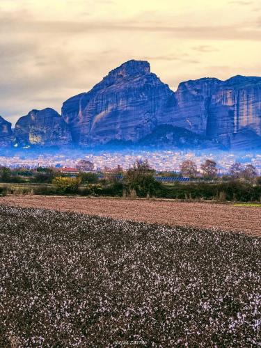 Paisaje cerca de este apartamento