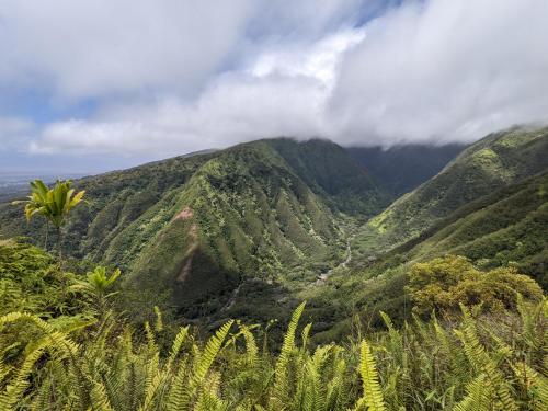 auliculiculiculiculiculiculiculiculiculiculiculiculiculiculic at Hale Mai Hopohopo in Kahana