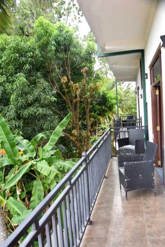 a balcony with chairs and plants on a house at Thinaya Lake Resort in Anuradhapura