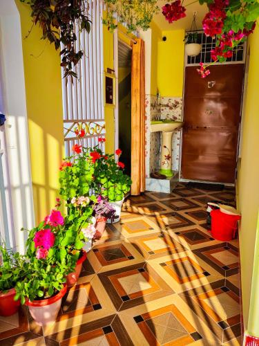 Gambar di galeri bagi Namaste Homestay di Almora