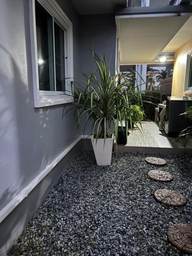 a patio with a potted plant next to a building at New Home Gบ้านเดี่ยวสร้างใหม่ ใกล้ทะเล ตัวเมืองระยอง in Ban Chak Phai