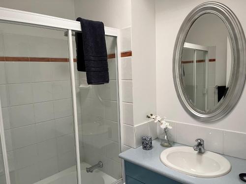 a bathroom with a sink and a shower with a mirror at Swan Guest House in Brisbane
