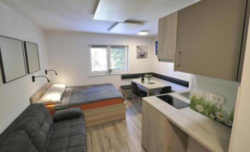 cocina con sofá y lavabo en una habitación en Studio Pika, en Kranjska Gora