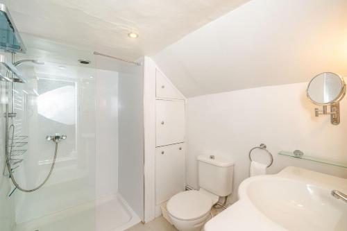 a bathroom with a shower and a toilet and a sink at 4 Bishops Cottages in Minehead