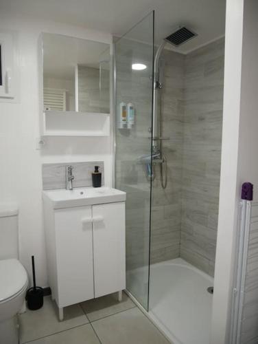 une salle de bain avec une douche, un lavabo et des toilettes dans l'établissement Studio Indépendant, au calme., à La Roche-sur-Yon