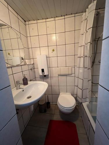 Ferien- und Monteurwohnungen Alsdorf في ألسدورف: حمام صغير مع مرحاض ومغسلة