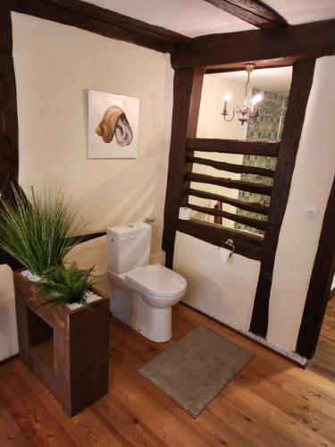 uma casa de banho com WC num quarto em Hotel & Restaurant Sonnenhöfle em Sommerhausen