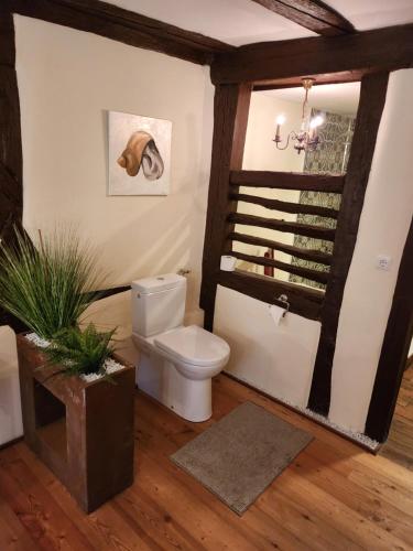 a bathroom with a toilet in a room at Hotel & Restaurant Sonnenhöfle in Sommerhausen