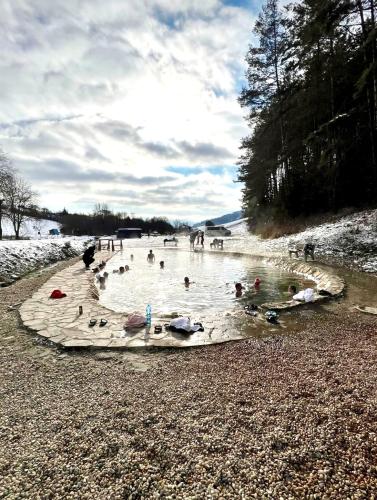 a group of people swimming in a body of water at Arctic House in Dolný Kubín