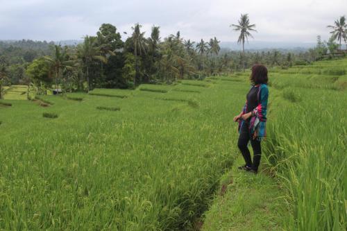 a woman walking through a field of grass at Agus Hidden Homestay - Banjar Sweet Village-Ijen in Banyuwangi
