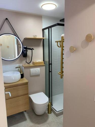 une salle de bain avec toilettes, lavabo et miroir dans l'établissement Au temps retrouvé, à Cabourg