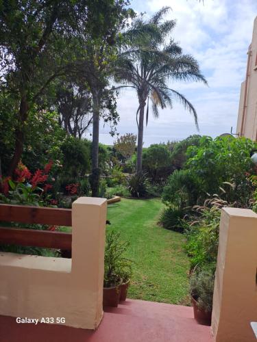 a garden with a bench and palm trees and the ocean at A1 Kynaston Guest House bed and breakfast or self catering in Jeffreys Bay