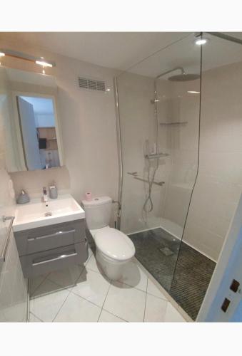 une salle de bain avec toilettes, douche et lavabo dans l'établissement Appartement 2 pièces en rez de jardin de 60m2, à Peymeinade