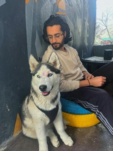 a man is sitting next to a dog at Nirvana by Oztel - Backpacker Hostel in Kasol