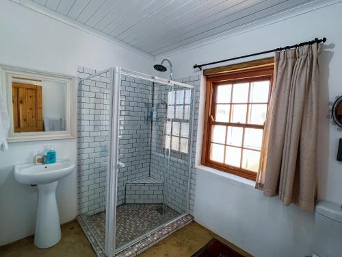 un baño con ducha y lavabo en Prince Albert Cottage, en Prince Albert