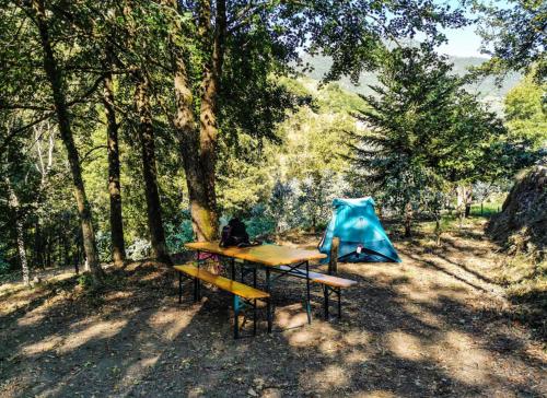 un tavolo da picnic e una tenda in una foresta di Agricamping Ponteraggio n.1 a Dolceacqua