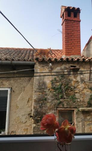 an old stone building with a red flower in front of it at Apartment Terassin in Koper