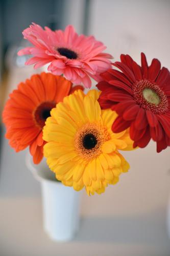 a white vase filled with different colored flowers at Garden Hotel in Zagreb