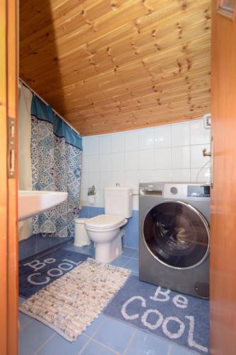 a bathroom with a washing machine and a toilet at Samian Thalia Apartment in Pagóndas