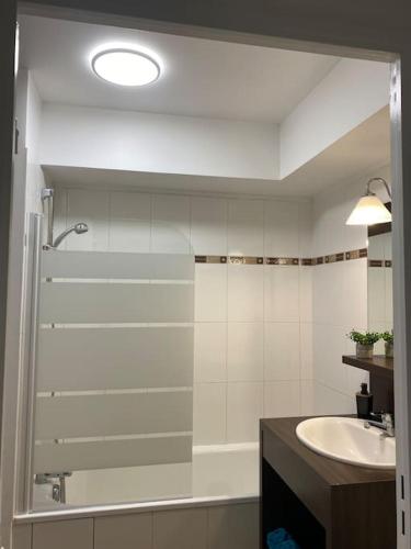 a bathroom with a shower and a sink at Appart COSY F2 Disneyland/Val d'Europe in Montévrain