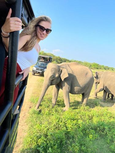 a woman standing on a vehicle looking at an elephant at Nature World Udawalawe in Udawalawe