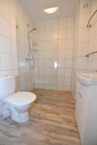 a bathroom with a toilet and a sink at Bears Apartments in Palanga