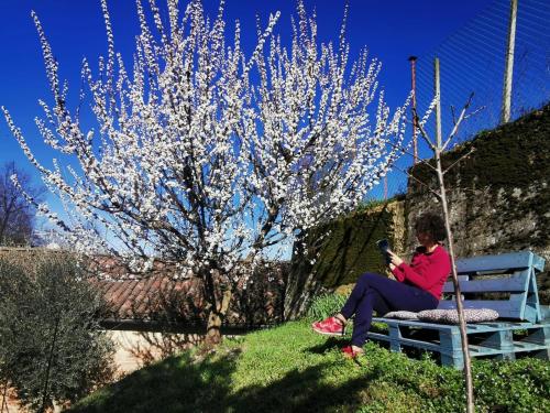 a woman sitting on a bench next to a tree at Casa Graziella- appartamenti vacanze in Portacomaro