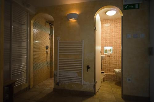 a bathroom with a shower and a toilet at Apartments Lavric in Nova Vas