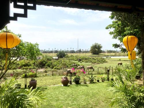 um campo com animais a pastar num campo com lanternas amarelas em The Quin Riverside Villa em Hoi An