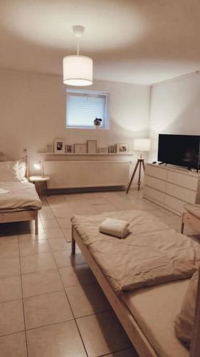 um quarto com duas camas e uma televisão em Wohnung in Dörverden em Dörverden