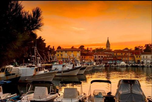 Un grupo de barcos atracados en un puerto al atardecer en Alina centar, en Novigrad Istria