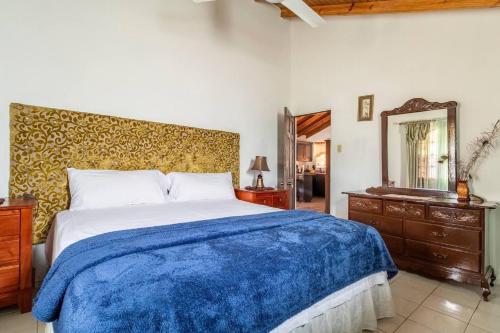 1 dormitorio con cama azul y espejo en Impeccable 2-Bed House in Montego Bay, en Montego Bay