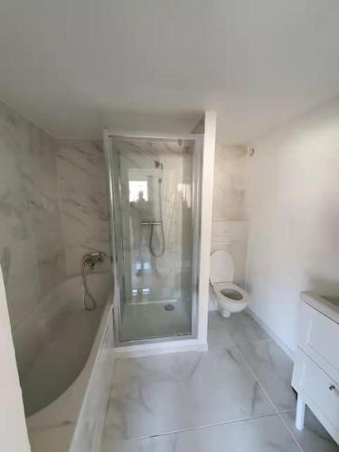 une salle de bain avec douche et toilettes dans l'établissement La maison du Lac, à Doussard