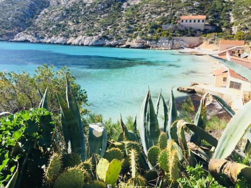 Fotografia z galérie ubytovania Appartement Le Panier v destinácii Marseille