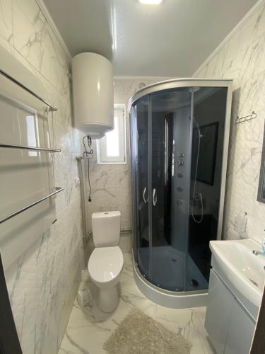 a bathroom with a toilet and a shower and a sink at Карпатська тиша in Sheshory
