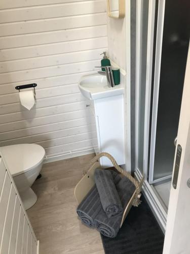 a small bathroom with a toilet and a sink at The Pilchard - Lydcott Glamping Cornwall, sea view in East Looe