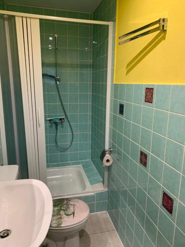 uma casa de banho com um chuveiro, um WC e um lavatório. em Ferienwohnung "Roter Sand" em Burhave