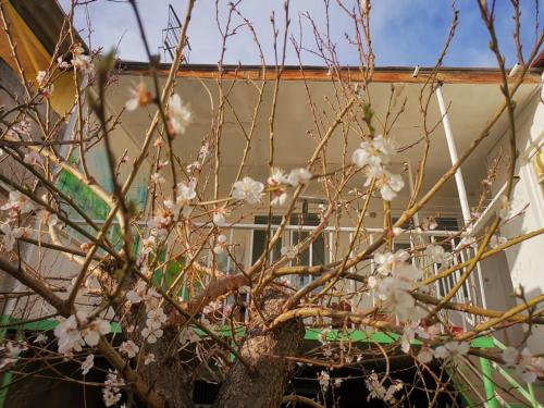 Vanadzor Guest House – Photos 2
