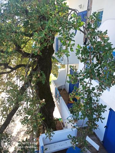 Φωτογραφία από το άλμπουμ του Milisia Rooms στη Σαμοθράκη