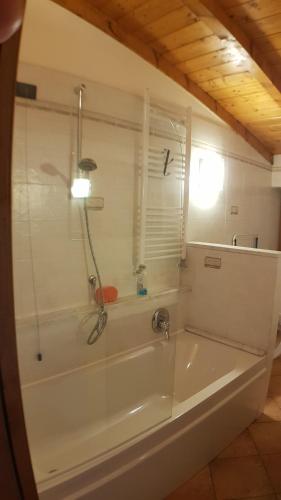 a bathroom with a bath tub with a shower at CASA VAL DEL RISO in Gorno