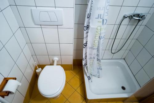 a bathroom with a toilet and a bath tub at Apartments Lavric in Nova Vas