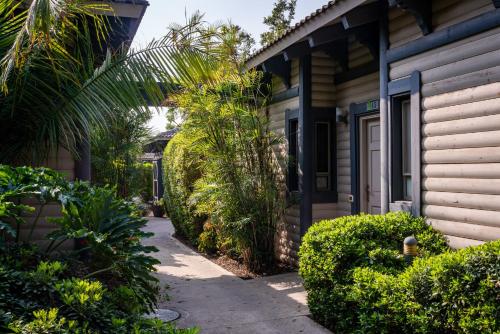 Κήπος έξω από το Etnachta Kibbutz Afik