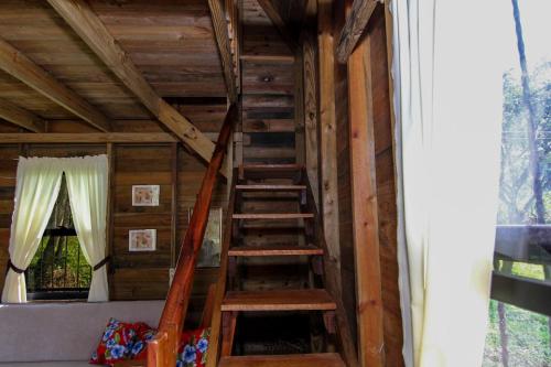 Φωτογραφία από το άλμπουμ του Pilgrims Paradise Cabin 2 σε San Ignacio
