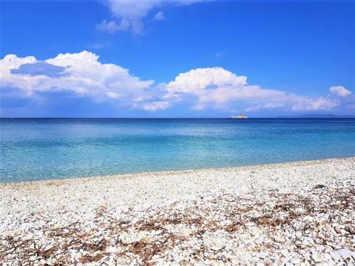 une plage rocheuse avec l'océan en arrière-plan dans l'établissement Casa Emy - Argonauti Vacanze, à Portoferraio