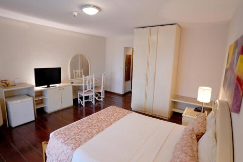 a bedroom with a bed and a desk and a tv at Colonial Plaza Hotel Pindamonhangaba in Pindamonhangaba