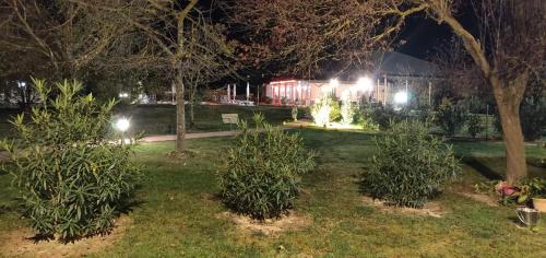 a park at night with trees and lights at Sacripante in Ostellato