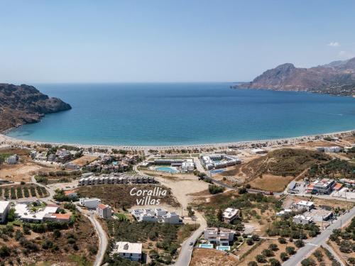 an aerial view of a resort next to the ocean at Corallia villas in Plakias