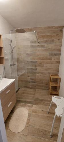 uma casa de banho com um chuveiro e piso em madeira em Gites Puy Mary et Puy Griou em Saint-Cernin