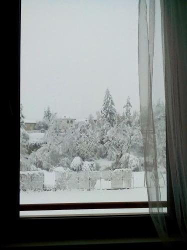 a window with a view of a snow covered forest at Hotel Hinovi Hvoyna in Hvoyna